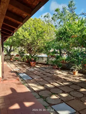 a patio with trees and a stone walkway at Villa Flora in Castellammare del Golfo