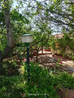a street light in the middle of a garden at Villa Flora in Castellammare del Golfo