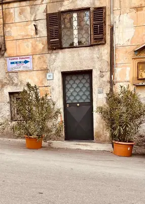 a building with a door and two plants in front of it at Cathedral House Design in Palermo