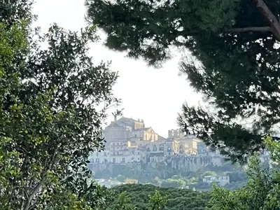 a large house on a hill with trees at House Corso Calatafimi in Palermo