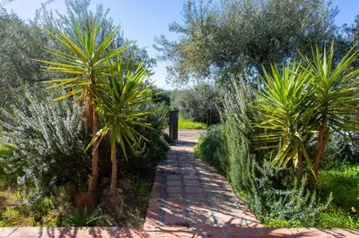a path through a garden with palm trees at Villetta Rosamarina by Wonderful Italy in Cefalù