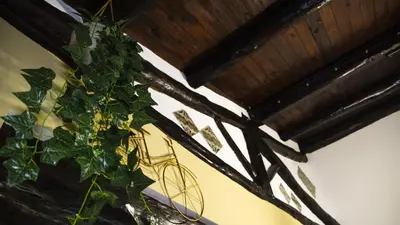 a green plant is hanging from a ceiling at Le Maioliche Apartment in Palermo