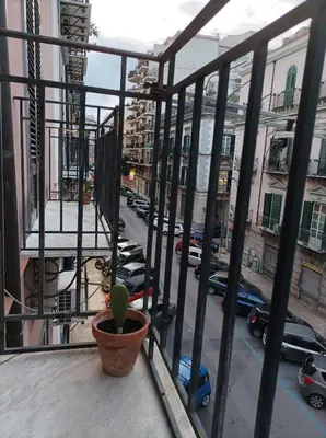 a plant in a pot on a balcony with a view of a city at Amuri Siculo, Casa Vacanze Palermo centro in Palermo
