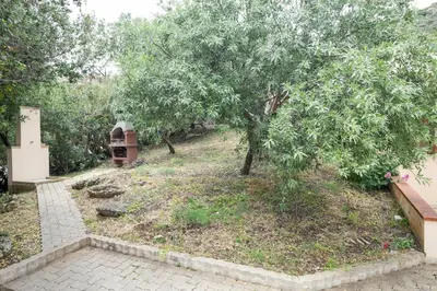 a garden with a tree and a walk way at VILLA BIFAMILIARE SCOPELLO in Scopello