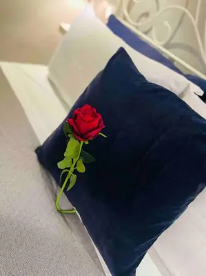 a red rose on a blue pillow on a bed at Bella Sicilia in Palermo