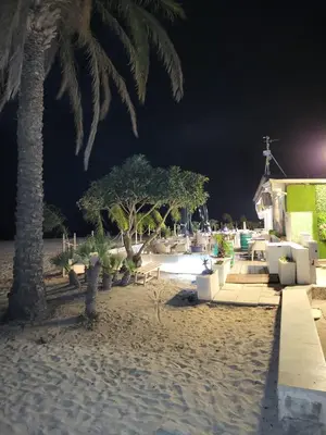 a beach with palm trees and a church at night at cico appartamento in San Vito lo Capo