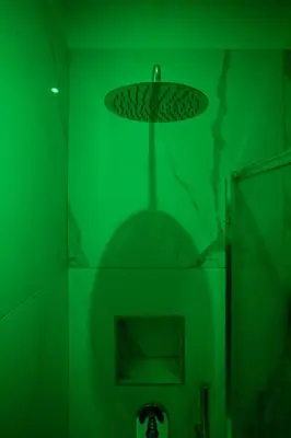 a green bathroom with a shower with a ceiling at Mag 179 Bed & Spa in Palermo