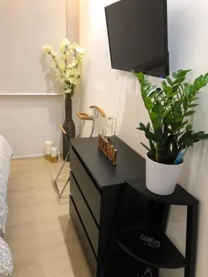 a black dresser with a tv and a plant on it at Lux Apartment in Historical Center of Palermo in Palermo