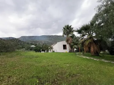 a white house in a field with palm trees at L'oasi nello Zingaro in Scopello
