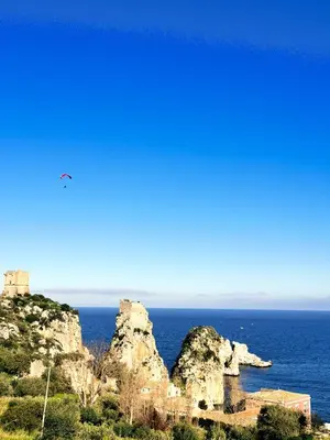 a bird flying over the ocean next to some rocks at L'oasi nello Zingaro in Scopello