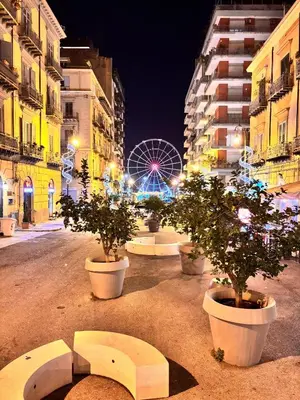 a city street with three potted trees and a ferris wheel at Palermo Centro - I Pastelli di Van Gogh in Palermo
