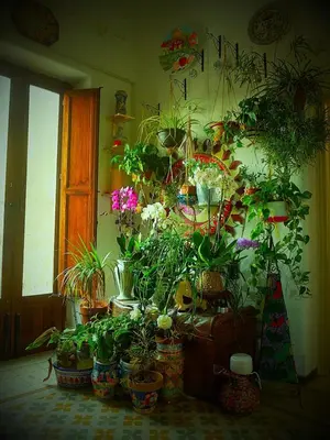 a room filled with lots of potted plants at AlCasart in Alcamo