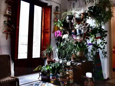 a room with a bunch of potted plants on a wall at AlCasart in Alcamo