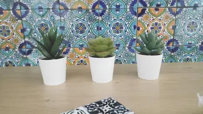 three potted plants sitting on a table in front of a wall at L'isola di Fimi in Isola delle Femmine