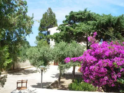 a park with purple flowers and trees and a bench at CASE PUNTA MONACO by Trerose Properties con wi-fi e posto auto privato gratuito in San Vito lo Capo