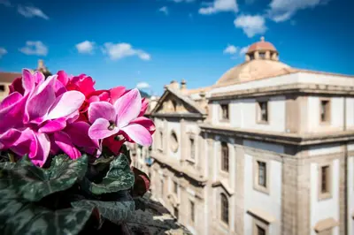 a bouquet of pink flowers in front of a building at Residence Torremuzza - Charming House In The Heart Of Palermo with lovely view in Palermo