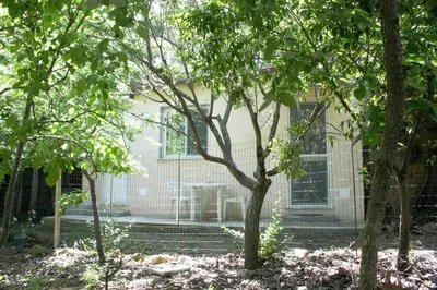 a house through the trees with a fence at Camera indipendente con bagno immersa nel verde in Bagheria