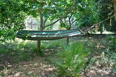 a hammock in a field under a tree at Camera indipendente con bagno immersa nel verde in Bagheria