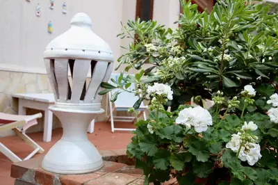 a white vase sitting next to some white flowers at La Villa di Sofia in Santa Flavia