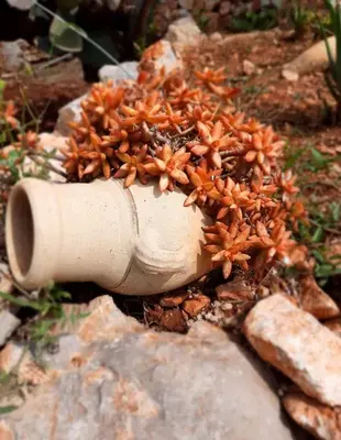 a plant in a white pipe on some rocks at Villa Noemy in Castellammare del Golfo