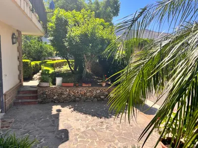 a garden with a palm tree and a stone walkway at IL Rustico di Giò in Carini