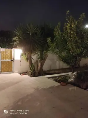 a group of palm trees in a courtyard at night at VILLA CHIARA 200 MT DA MARE SPIAGGIA LIBERA SABBIA in Capaci