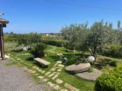 a garden with rocks and trees on the grass at Relais del sole in Partinico