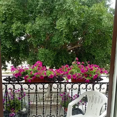 Casa bluchic Gioisia