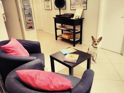 a black cat sitting on a chair in a living room at B&B Rodionoff Palermo View & Terrace Mondello-Airport Link in Palermo