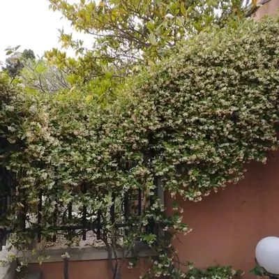 Casabella Mondello