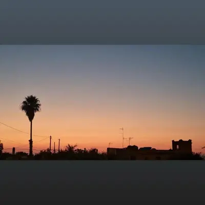 a sunset with a palm tree and a building at Le Terre di Sicilia in Terrasini