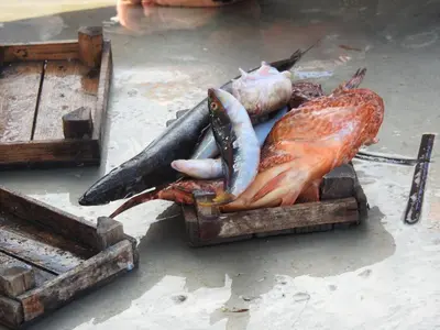 a pile of seafood sitting on top of wooden molds at Leonardo in Capaci