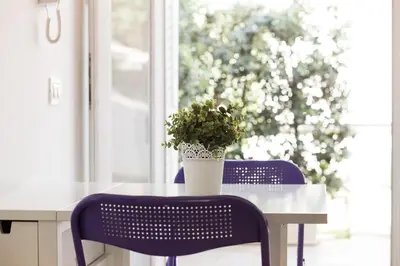 a table with a potted plant sitting on top of it at Mondello Suites FLH - Gorgonia in Mondello