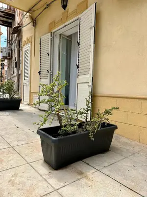 a black planter sitting on a sidewalk next to a window at Casa Repasi in Sferracavallo