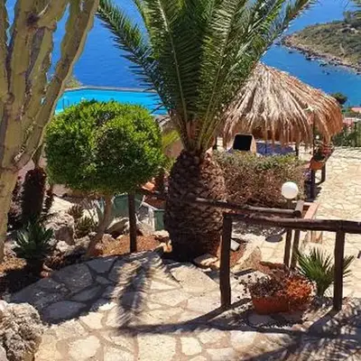 Palma Dello Zingaro