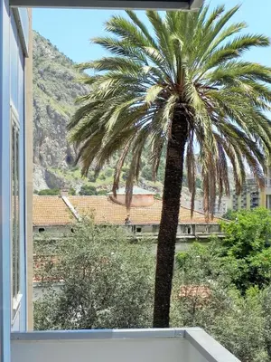 a palm tree in a room with a window at Torreata Hotel & Residence in Palermo