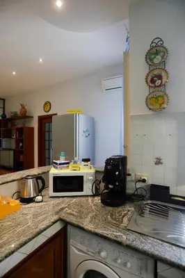 a kitchen with a counter top with a microwave at Biddizzi Apartment in Palermo