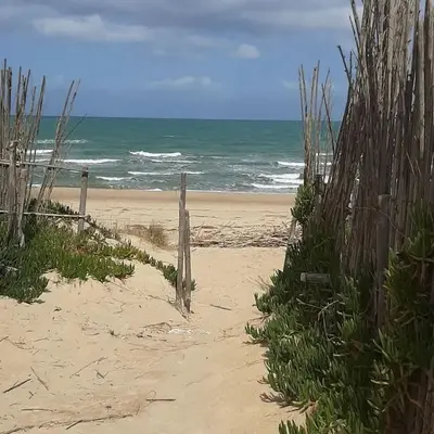 a sandy beach with a fence and the ocean at Spiaggia Libera e di Sabbia dorata per 