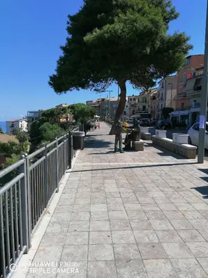 a person standing under a tree on a sidewalk at Stella marina in Buonfornello