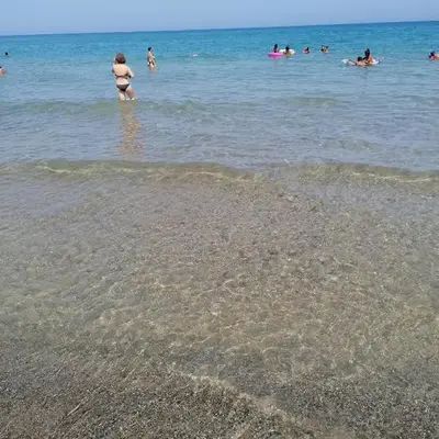 Stella marina