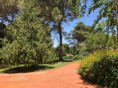a dirt road in a park with trees and flowers at park house mini in Mondello