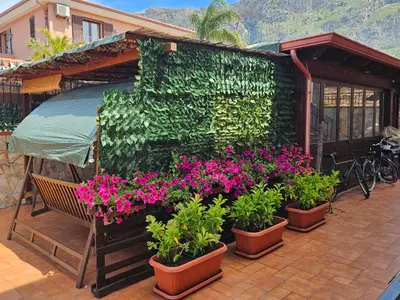 a group of plants in pots on a patio at La Dependance delle Mimose in Isola delle Femmine