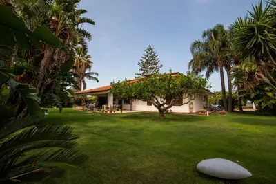 a house with a green yard with palm trees at Le Yucche in Partinico