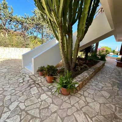 a garden with a palm tree and a pathway at Stunning Seafront Villa in Scopello Pool & Jacuzzi in Scopello