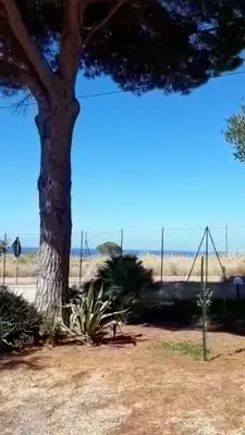 a tree and a swing set in front of the beach at Camera Tina in Castellammare del Golfo