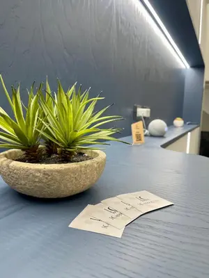 a potted plant sitting on top of an office desk at I Cappuccini Suite in Palermo