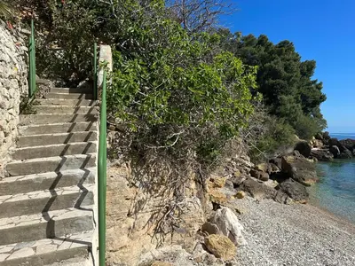 a tree on the side of a beach with stairs at Terrazza sul mare Scopello in Scopello