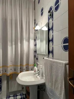 a bathroom with a sink and a shower curtain at Holiday & House - Imparato Palermo Centro Politeama in Palermo