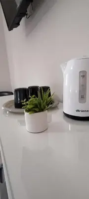 a plant on a counter next to a blender at SUITE PRINCIPE SCORDIA in Palermo