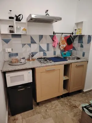 a small kitchen with a stove and a sink at Casa Carina in Centro in Palermo